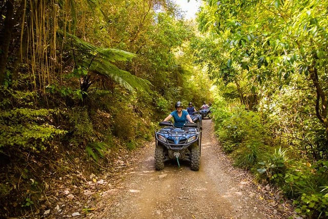 On the forest trails